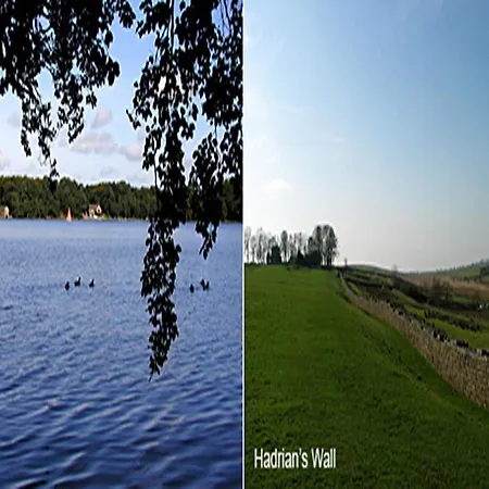 酒店 铁匠阿姆斯酒店 布兰普顿