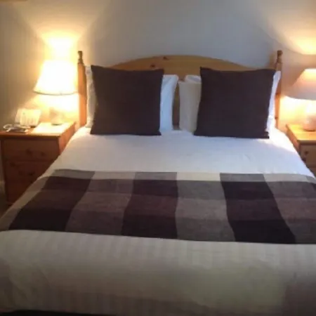 酒店 铁匠阿姆斯酒店 布兰普顿