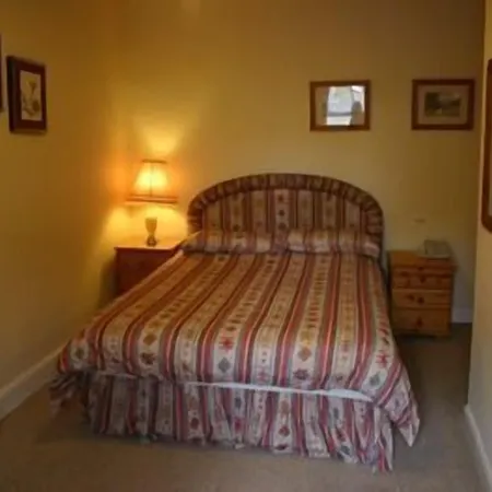 铁匠阿姆斯酒店 4* 布兰普顿